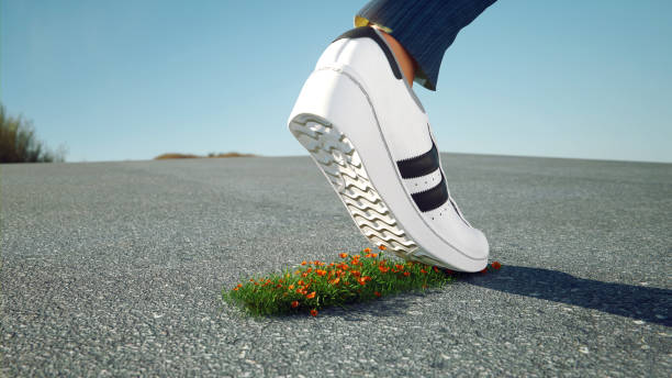 Balance in a Fast-Paced World Balance in a Fast-Paced World